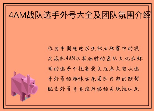 4AM战队选手外号大全及团队氛围介绍
