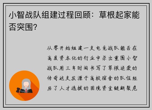 小智战队组建过程回顾：草根起家能否突围？